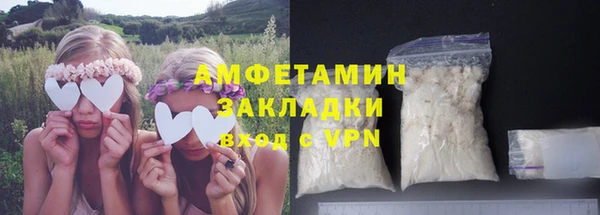 индика Сосновка