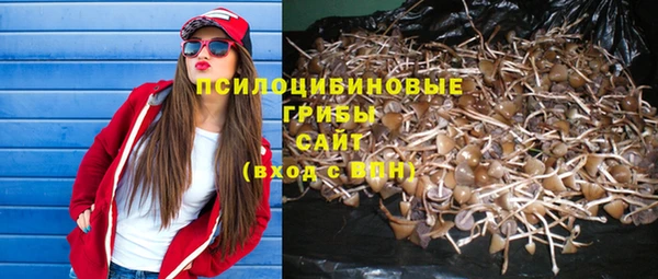 ГАЛЛЮЦИНОГЕННЫЕ ГРИБЫ Струнино