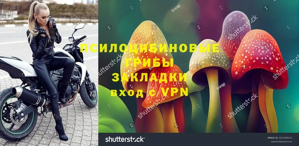 стаф Строитель