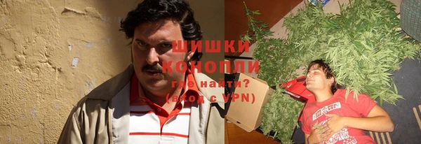 ГАЛЛЮЦИНОГЕННЫЕ ГРИБЫ Струнино